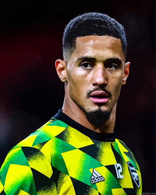 William Saliba Painting By Numberss.png