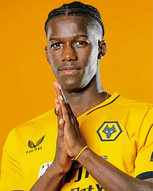 Willy Boly Wolves Player Painting By Numberss.png