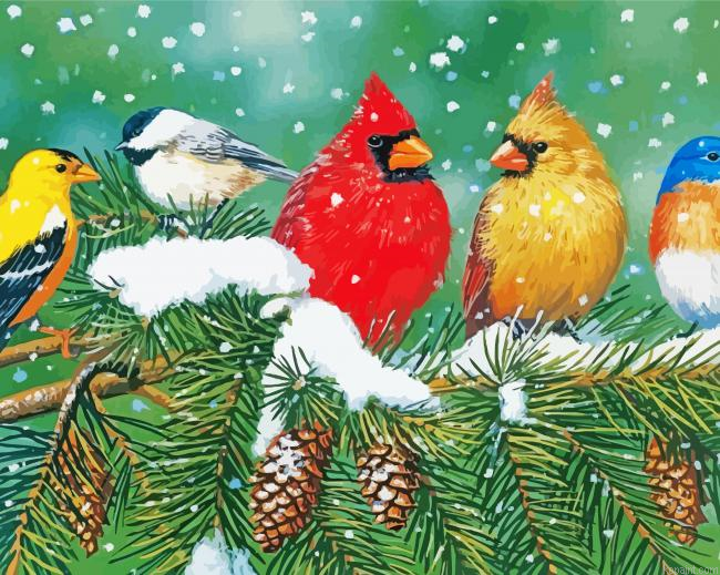 Winter Birds Row Paint By Numbers