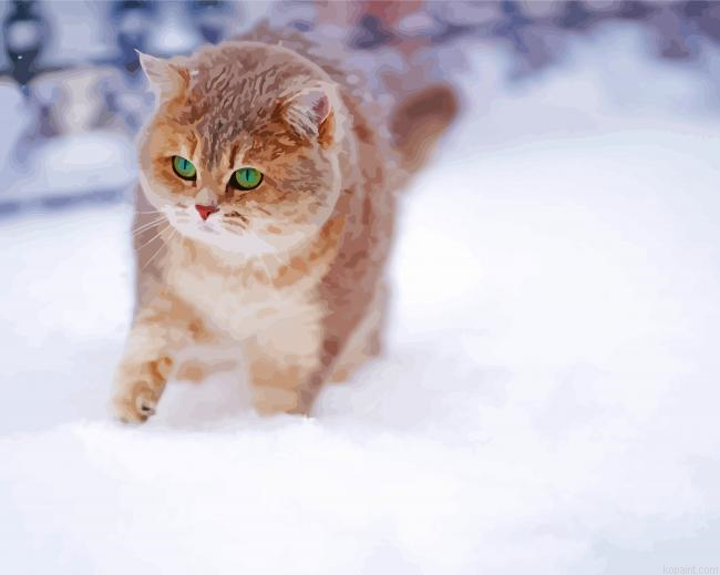 Winter Cat Painting By Numberss.png
