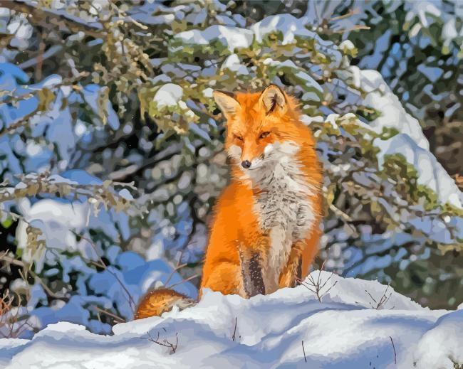 Winter Fox In Forest Painting By Numberss.png
