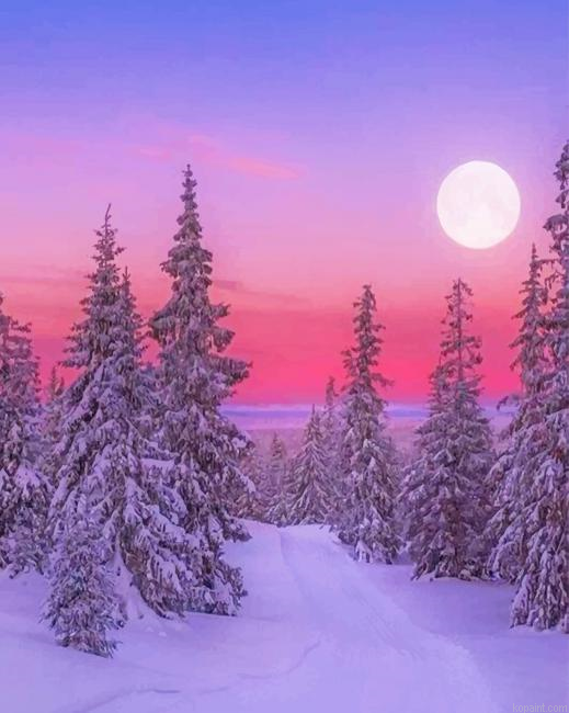 Winter Landscape New Painting By Numberss.png