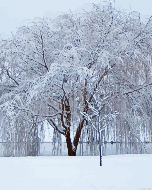 Winter Weeping Willow Tree Painting By Numberss.png