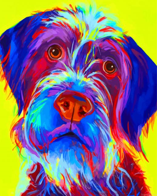 Wirehaired Pointing Griffon Dog Painting By Numberss.png