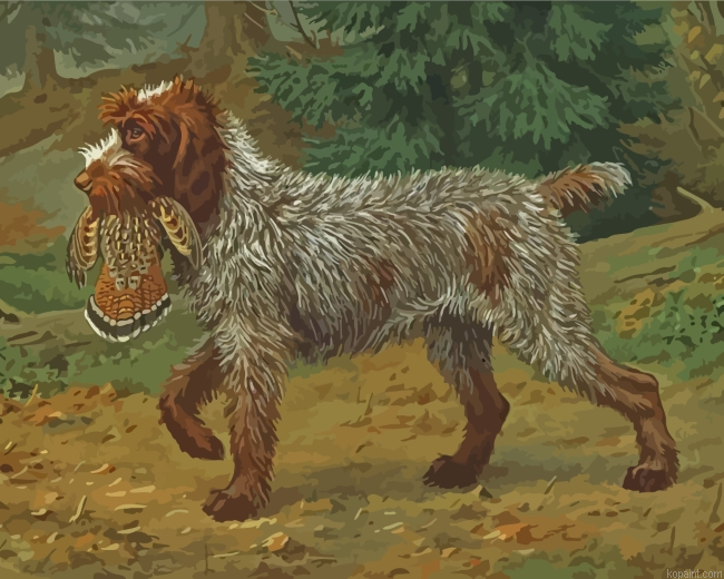 Wirehaired Pointing Griffon Hunting Painting By Numberss.png