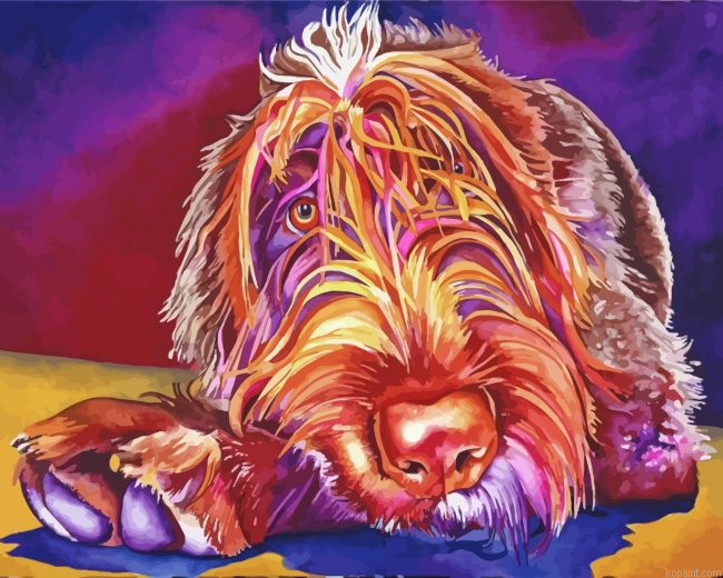 Wirehaired Pointing Griffon Painting By Numberss.png