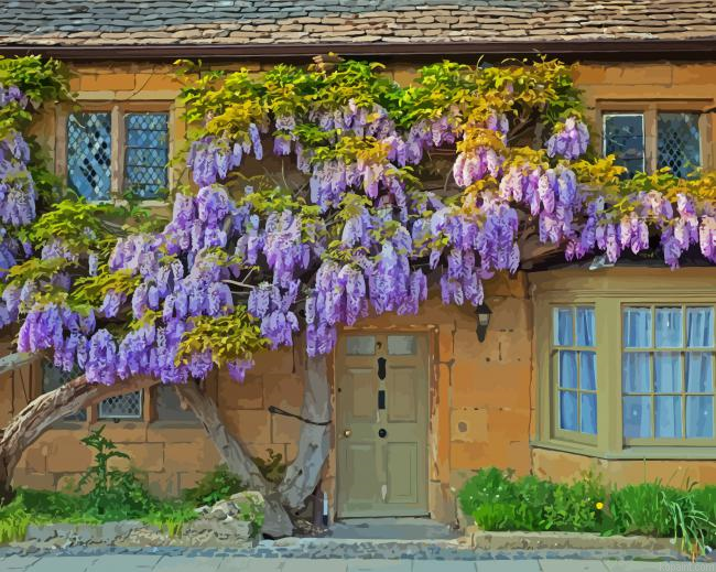 Wisteria Flowers In Wall Painting By Numberss.png