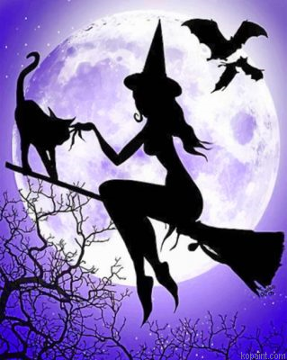 Witch And Her Cat Painting By Numberss.png
