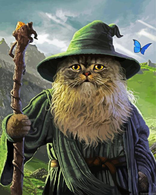 Wizard Cat Painting By Numberss.png