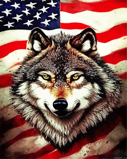 Wolf And American Flag Painting By Numberss.png