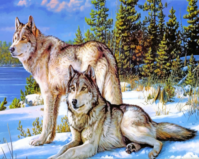 Wolves In Snow Paint By Numbers