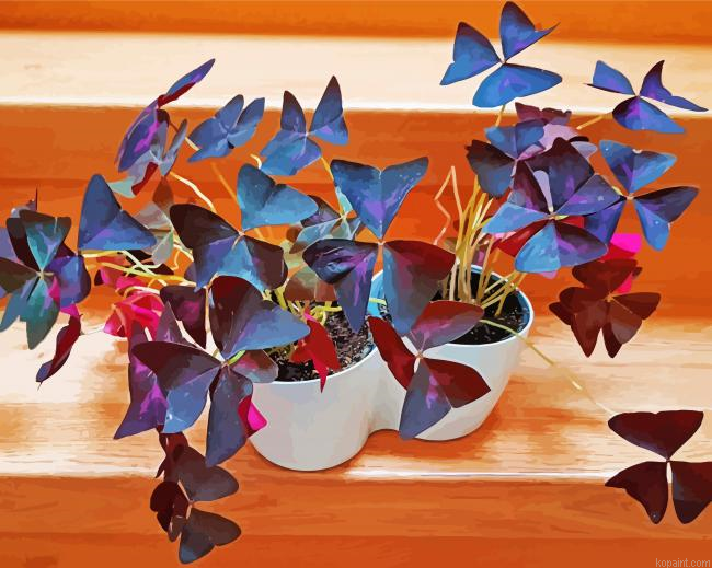 Wood Sorrels Oxalis Plant Pots Painting By Numberss.png