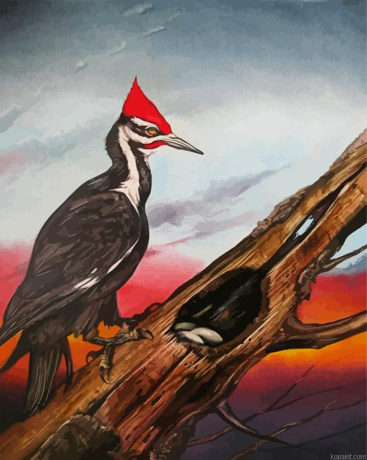 Woodpecker Bird Paint By Numbers.png