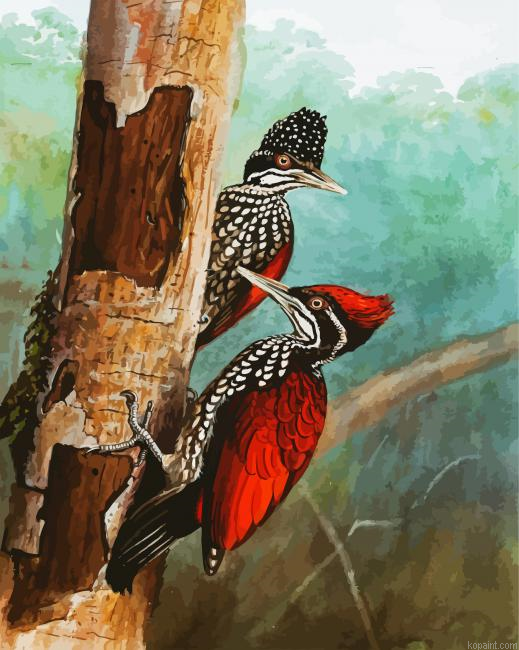 Woodpecker Birds Paint By Numbers.png