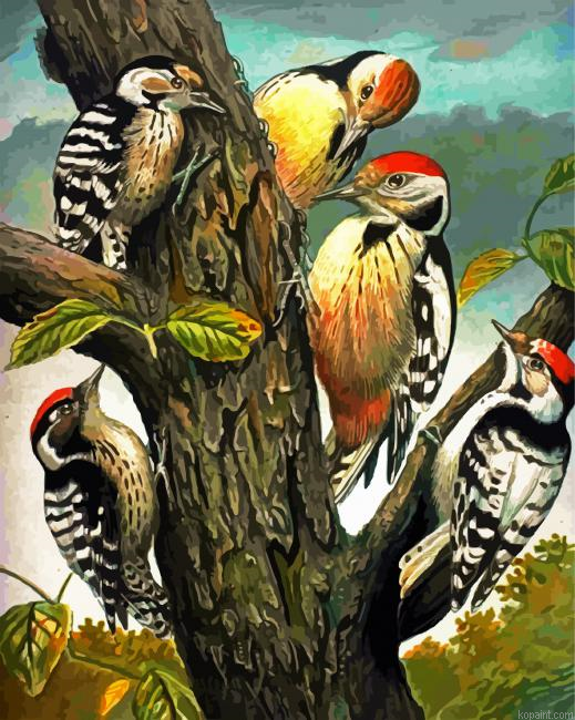 Woodpeckers Family Picoides Paint By Numbers.png