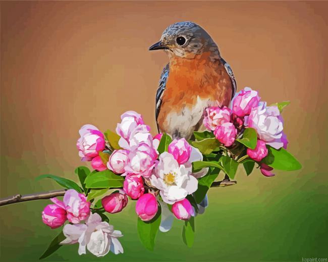 Wren Bird On Flowers Painting By Numberss.png