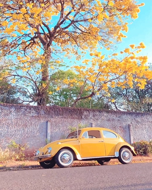 Yellow Aesthetic Car New Painting By Numberss.png