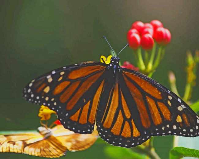 Yellow And Black Butterfly Paint By Numbers