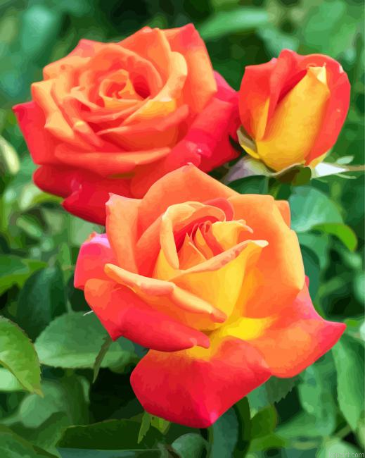Yellow And Orange Floribundas Painting By Numberss.png