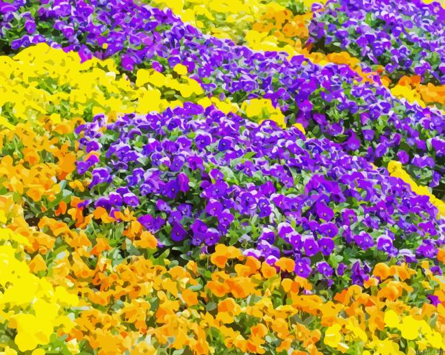 Yellow And Purple Flowers Field Painting By Numberss.png