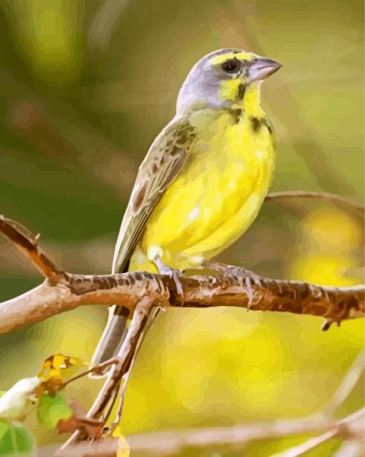 Yellow Canary Painting By Numberss.png