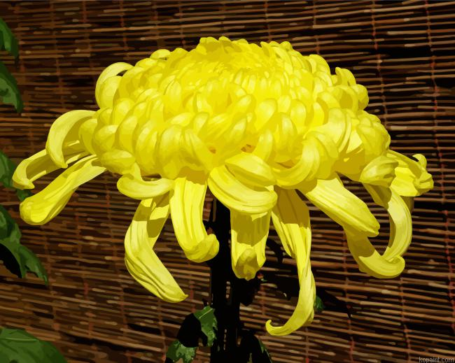 Yellow Chrysanthemum Paint By Numbers.png