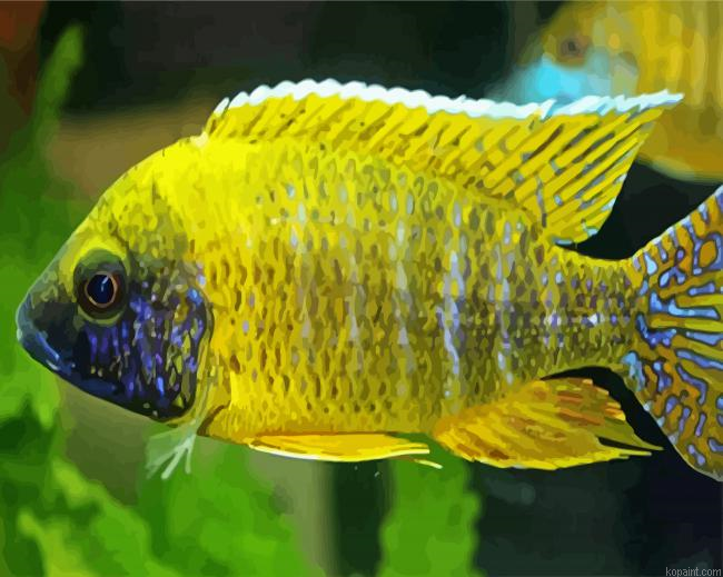 Yellow Cichlid Painting By Numberss.png