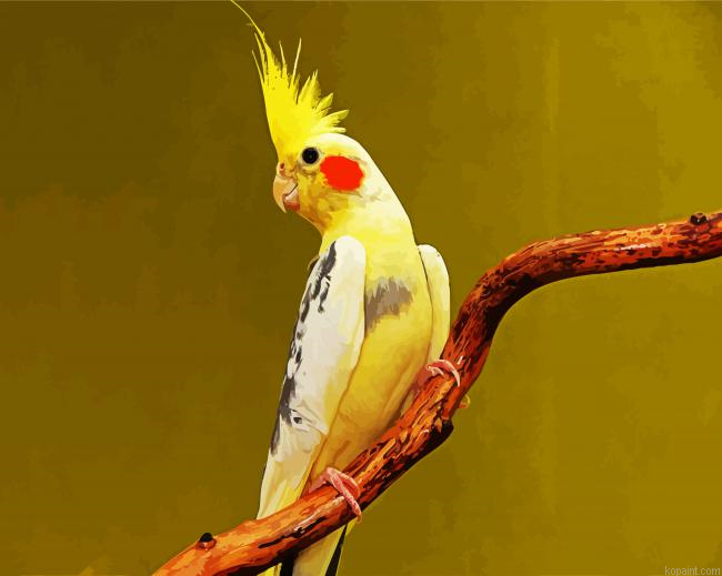 Yellow Cockatiel Painting By Numberss.png