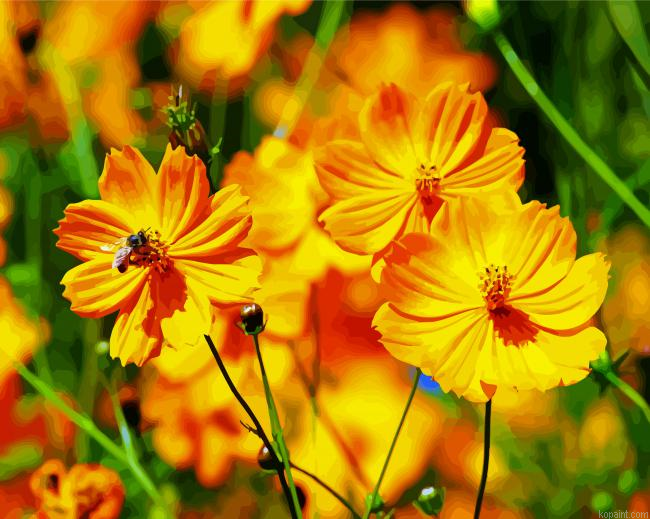 Yellow Cosmos Flowers Painting By Numberss.png