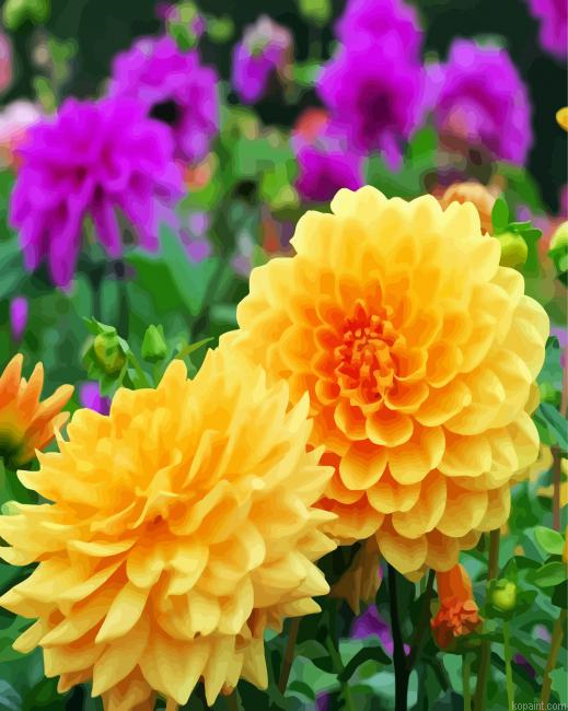 Yellow Dahlia Flowers Painting By Numberss.png