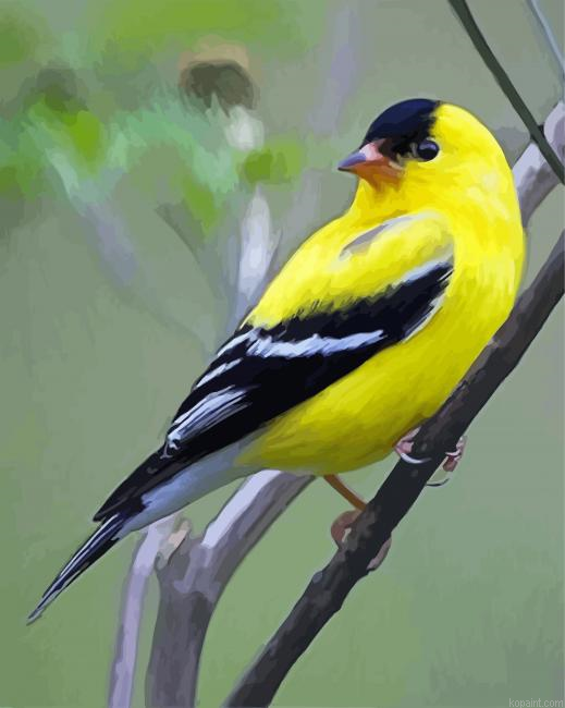 Yellow Finch Bird Painting By Numberss.png
