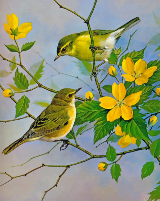 Yellow Finch Birds Painting By Numberss.png