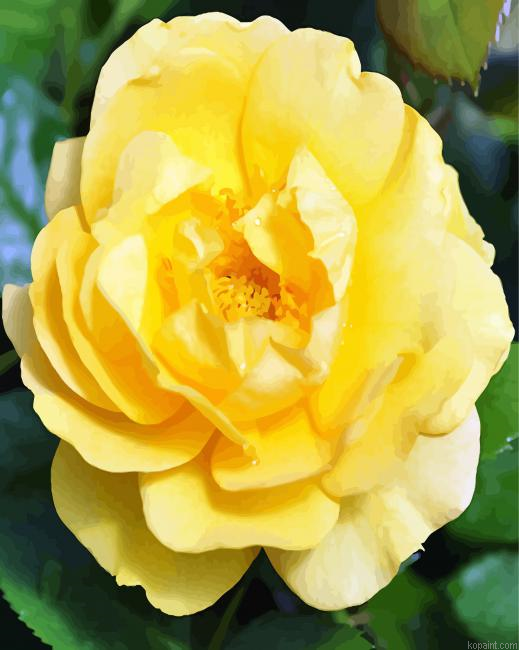 Yellow Floribunda Paint By Numbers
