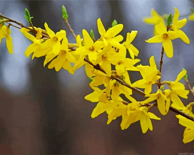 Yellow Forsythia Plant Painting By Numberss.png