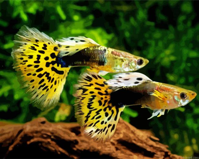 Yellow Guppy Fish Painting By Numberss.png