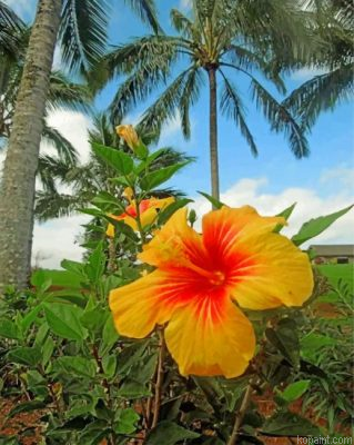 Yellow Hibiscus Painting By Numberss.png