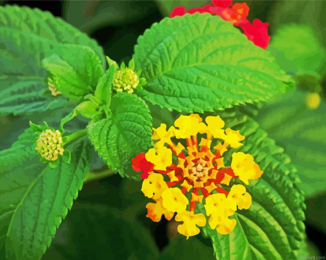 Yellow Lantanas Flowers Painting By Numberss.png