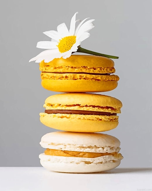 Yellow Macarons New Painting By Numberss.png