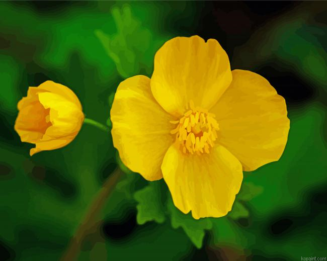 Yellow Poppy Flower Painting By Numberss.png