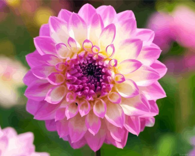 Yellow Purple Dahlia Painting By Numberss.png