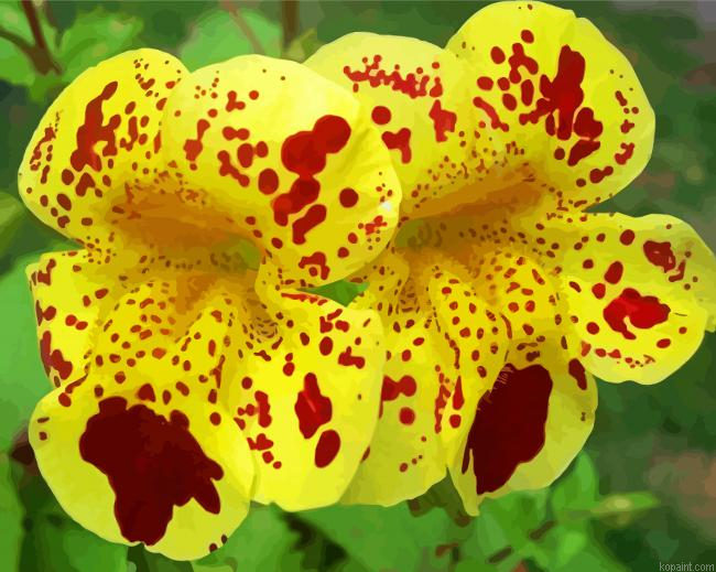 Yellow Red Monkeyflower Painting By Numberss.png