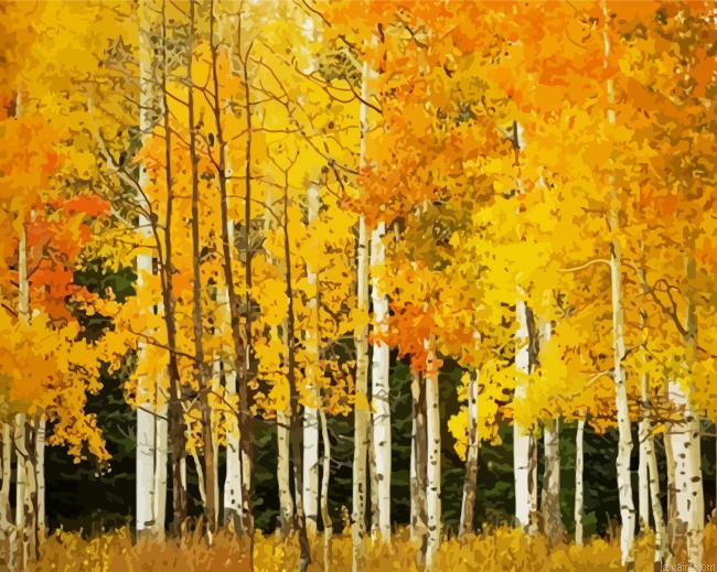Yellow Speen Trees Painting By Numberss.png