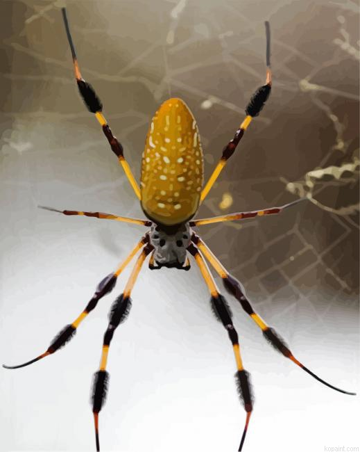 Yellow Spider Paint by Numbers
