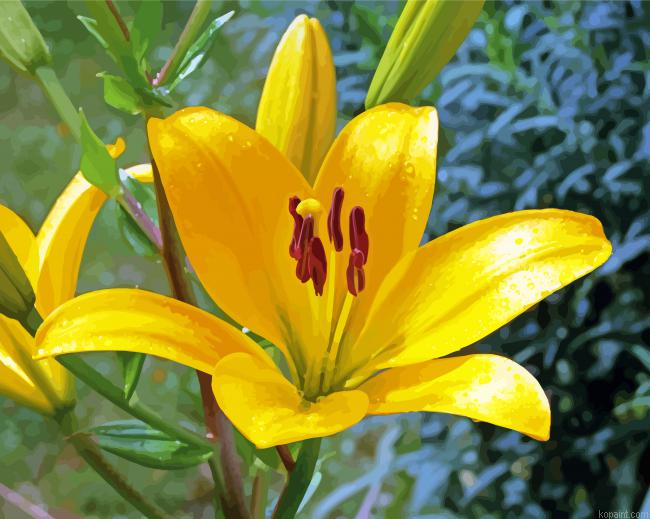 Yellow Stargazer Lily Paint By Numbers