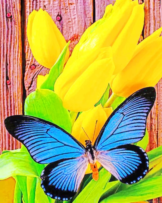 Yellow Tulip And Blue Butterfly New Painting By Numberss.png