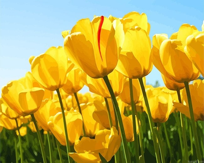 Yellow Tulip Flower Paint By Numbers