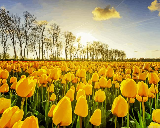 Yellow Tulips Flowers Field Painting By Numberss.png