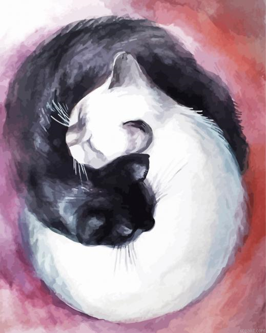 Yin And Yang Cat Paint By Numbers