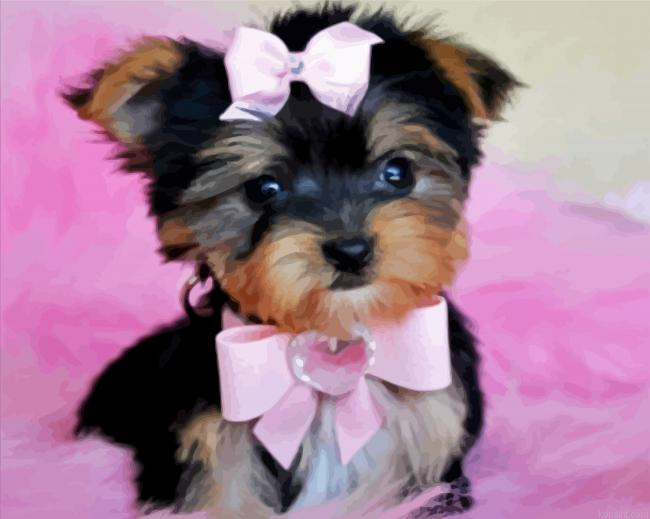 Yorkie Puppy Painting By Numberss.png