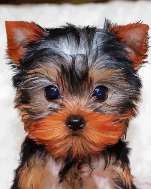 Yorkie Tea Cup Painting By Numberss.png